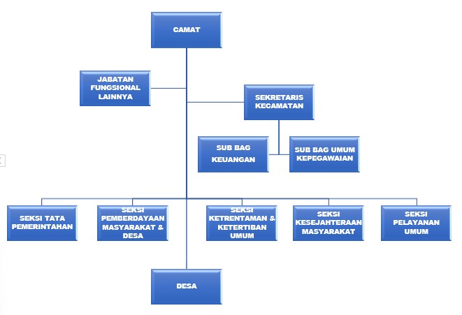org chart